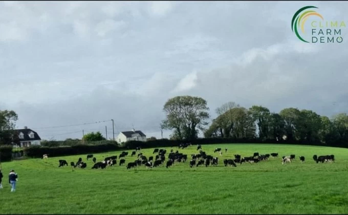 Les granges de boví participen en el Climate Farm Demo