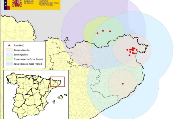 La dermatosi nodular contagiosa (DNC) es manté al nord-est de Catalunya