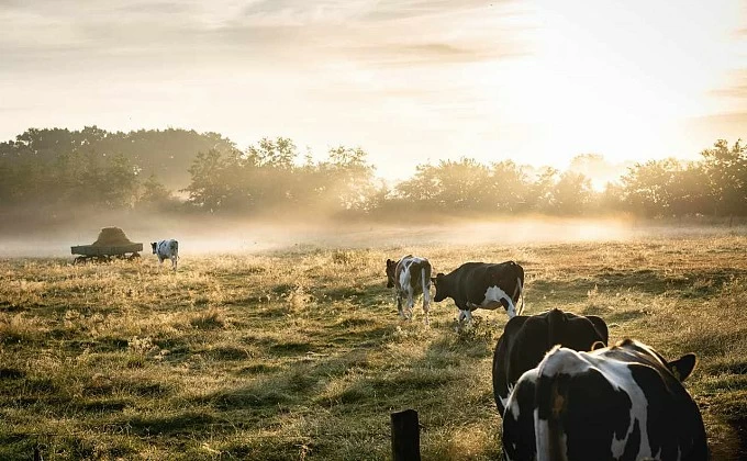 LIFE CARBON FARMING, un ambicioso proyecto europeo para reducir la huella de carbono