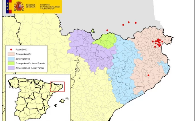 La dermatosi nodular contagiosa (DNC) es manté al nord-est de Catalunya