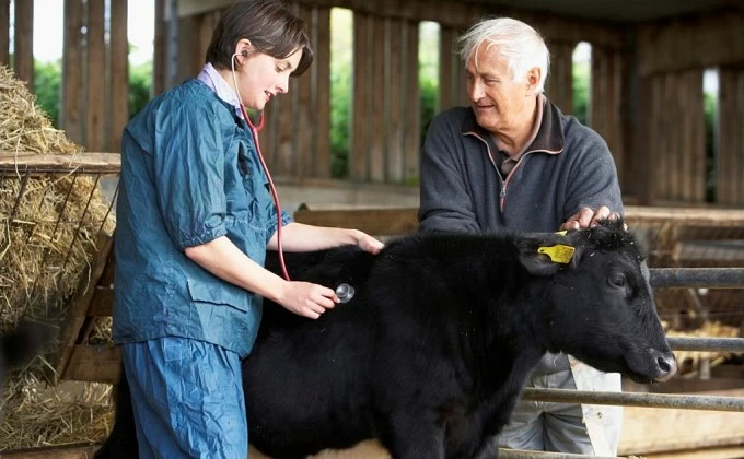 La ganadería europea asume su responsabilidad en la lucha contra las resistencias a los antibióticos