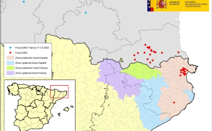 La dermatosis nodular contagiosa (DNC) se mantiene en el noreste de Cataluña