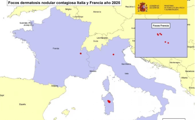 Màxima precaució per la presència de la Dermatosi Nodular a França i Itàlia