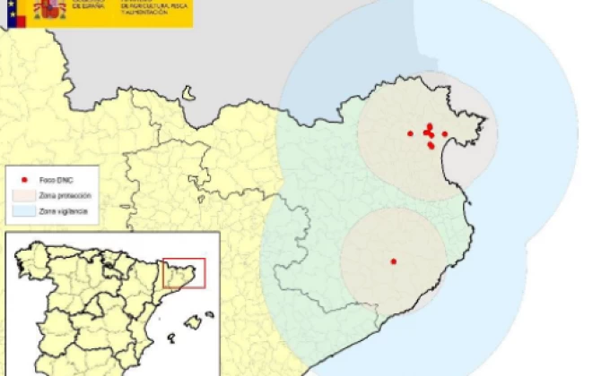 La dermatosi nodular contagiosa (DNC) arriba al nostre territori