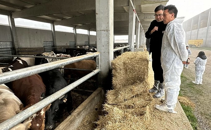 L'obertura de la Xina al vacum espanyol: l'èxit d'un treball conjunt