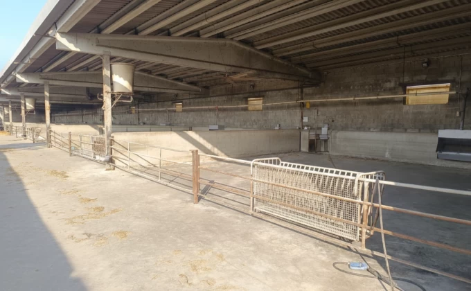 Catalunya aixeca les darreres restriccions per la DNC, amb pèrdues de 4 milions d’euros