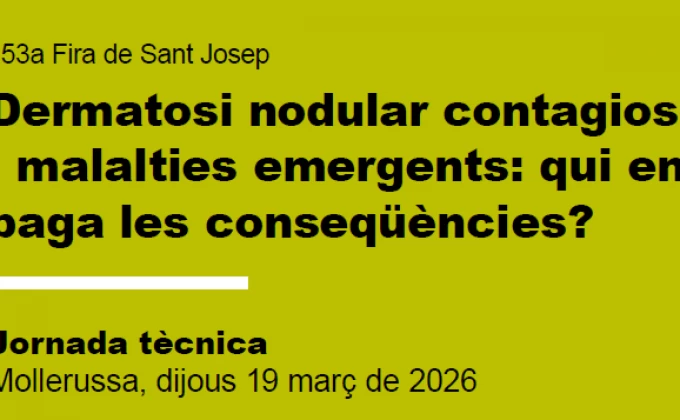 La Dermatosi i les seves conseqüències, a debat