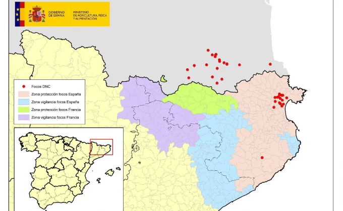 La dermatosi es manté a ratlla sense nous casos a Catalunya