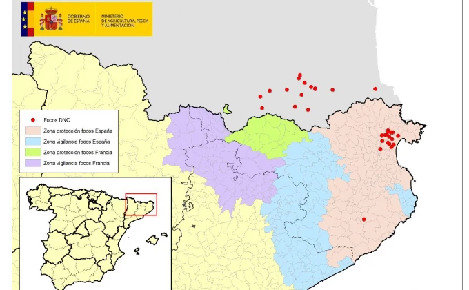 La dermatosi nodular contagiosa (DNC) es manté al nord-est de Catalunya