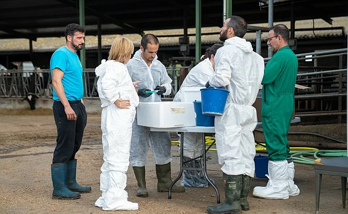 Asoprovac dona suport a l’estratègia de gestió de la dermatosi nodular contagiosa